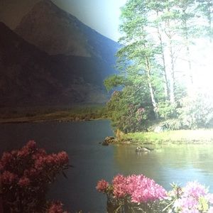 Meet your Posher, Ariana